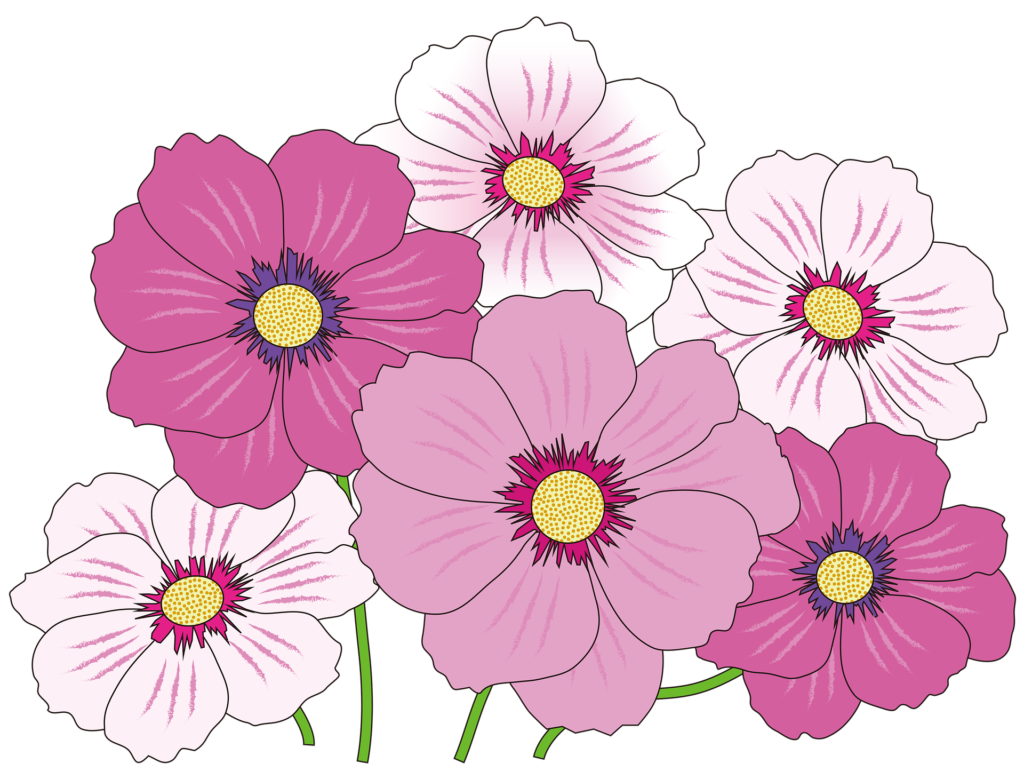 花の絵 花イラストの簡単かわいい書き方 薔薇 チューリップ 梅 ハイビスカス 脳トレになる曼荼羅アートセラピー