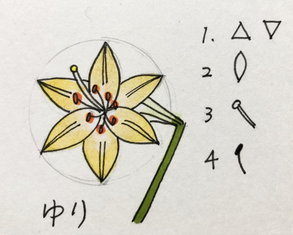 花の絵 花イラストの簡単かわいい書き方 薔薇 チューリップ 梅 ハイビスカス 脳トレになる曼荼羅アートセラピー